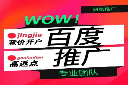 竞价广告在XX行业的成功应用案例